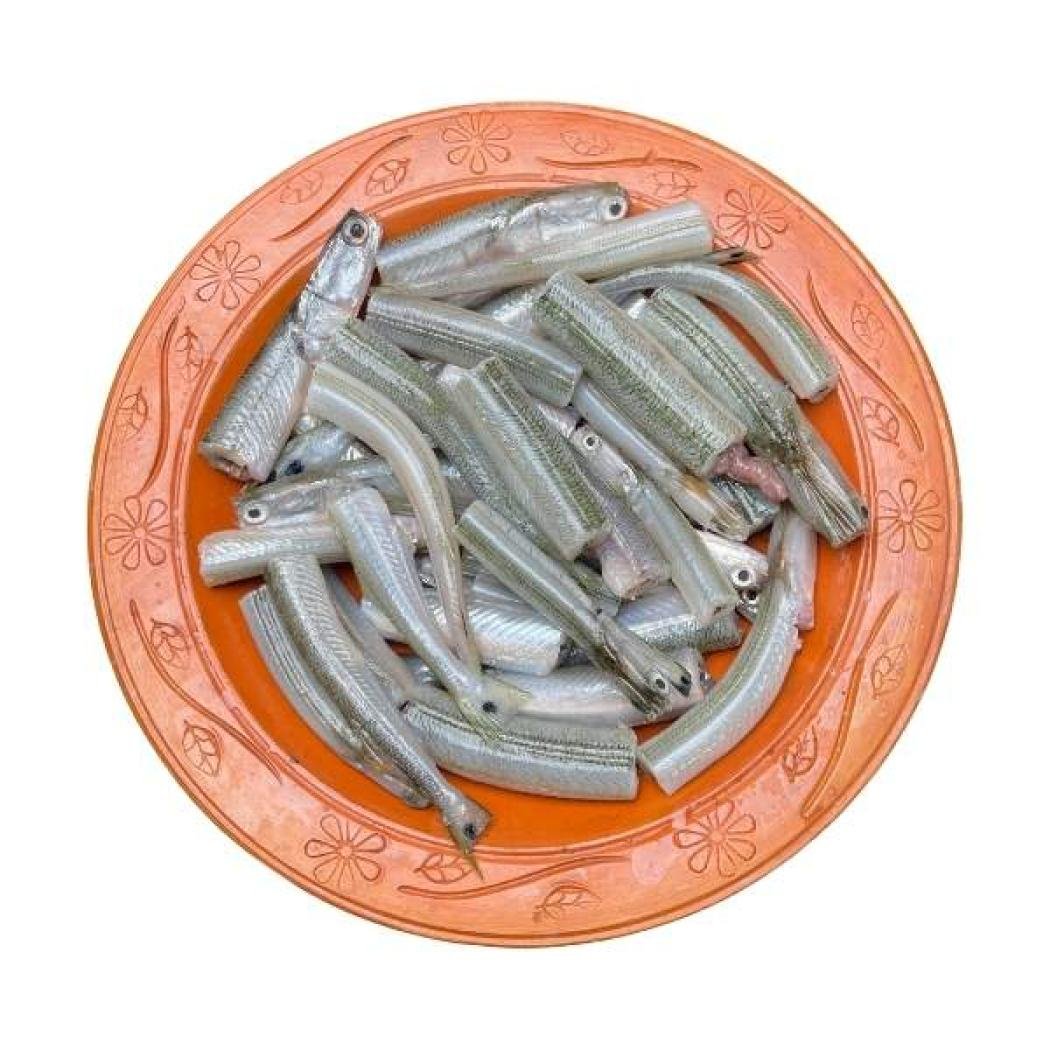 কাকিলা মাছ